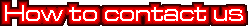 Contact Information